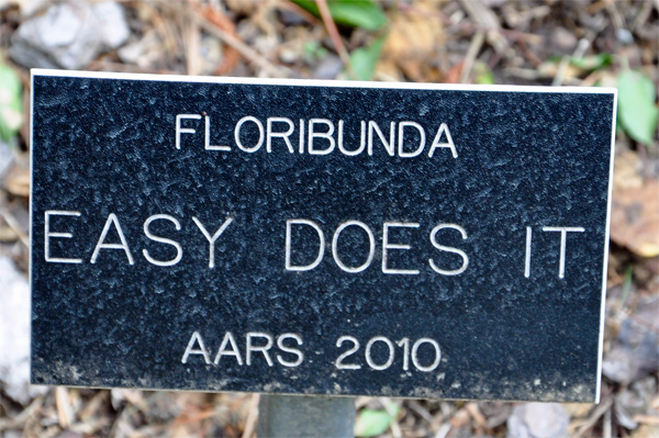 Floribunda Easy Does it - sign